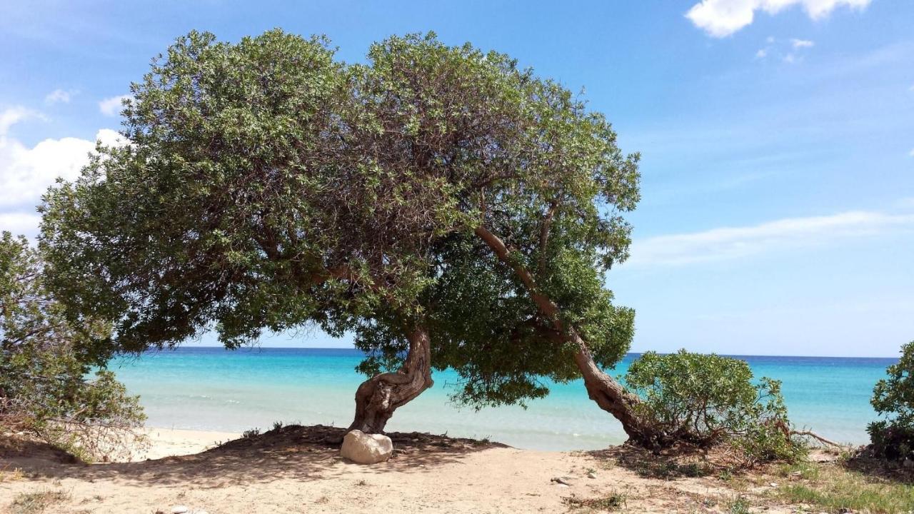 Terre Di Mare Near The Sandy Beach With Pool, Parking & Wifi Fontane Bianche Luaran gambar